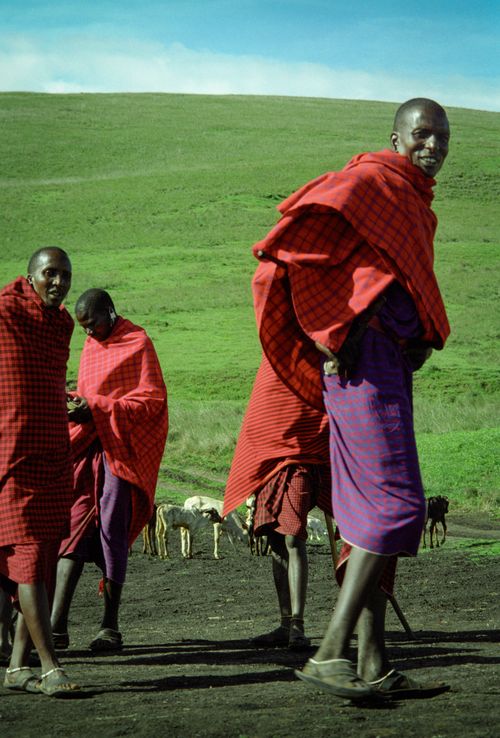 photo