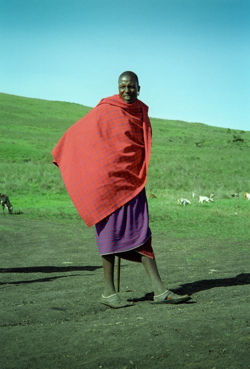 photo