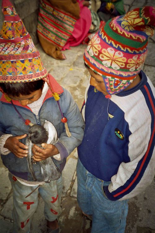 photo